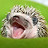 Fluffy Hedgehog