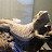 Da Bellman Zoo Avatar