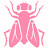 littlepinkhousefly