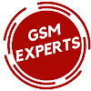 What could GSM EXPERTS buy with $191 thousand?