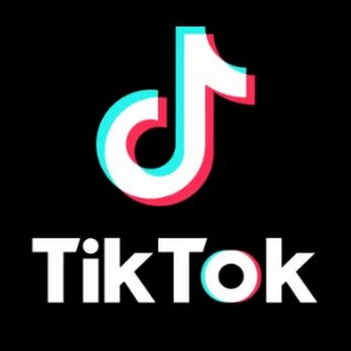 Tik Tok Net Worth & Earnings (2024)