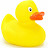 Duck 7964