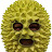 Durian Head