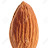 Almonds9292