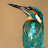 Chris Corbin Avatar