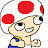 toads4ever Avatar