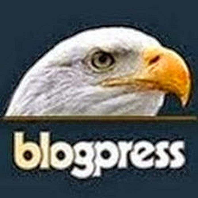 Blogpressportal Net Worth & Earnings (2024)