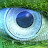 Gods eye