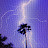 Tropic Lightning2023-