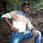 Shamshuddin Ansari