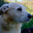 anneherve free Avatar