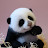 ThePandaMan