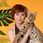 AmatyCay cattery Grebneva Natalia