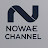 NOZEMPROL Channel