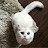 Тетяна Коркач