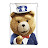 Teddy Softwares