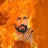 Gurdarshan Singh