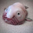 The Blobfish