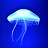 Qualle Jellyfish