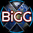 BiGG X