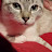 Sheila Edmonds Avatar