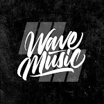 WaveMusic Net Worth