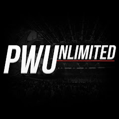 Pro Wrestling Unlimited net worth