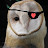 One Eyed Owl