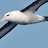 Albatross News