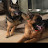 ownerof 2germanshepherds