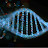 DNA