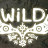 Wild Shadow