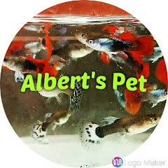 Thumbnail of related channel