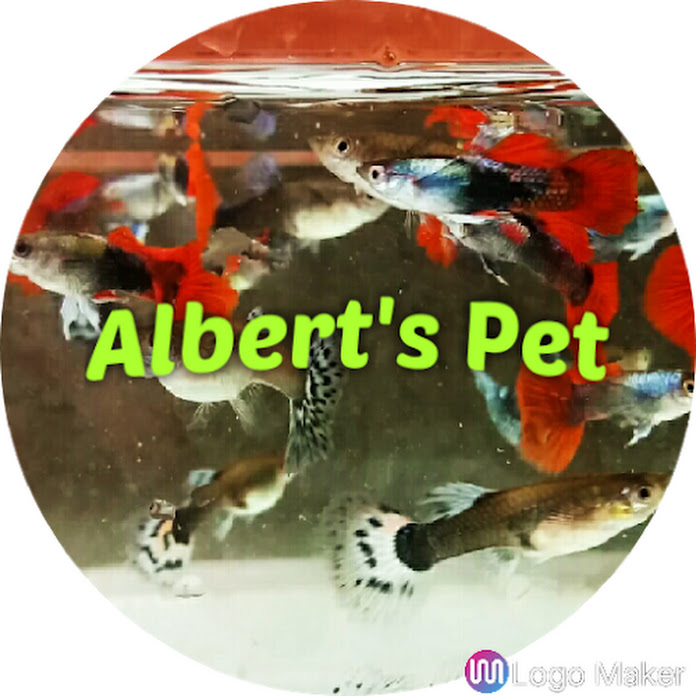 Albert's Guppy Adventure Net Worth & Earnings (2026)