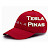 Tesla Pinas and Stocks Investing
