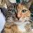@dotolive Avatar