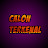 Calon Terkenal