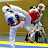 Mike Taekwondo