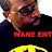 WaneEnt