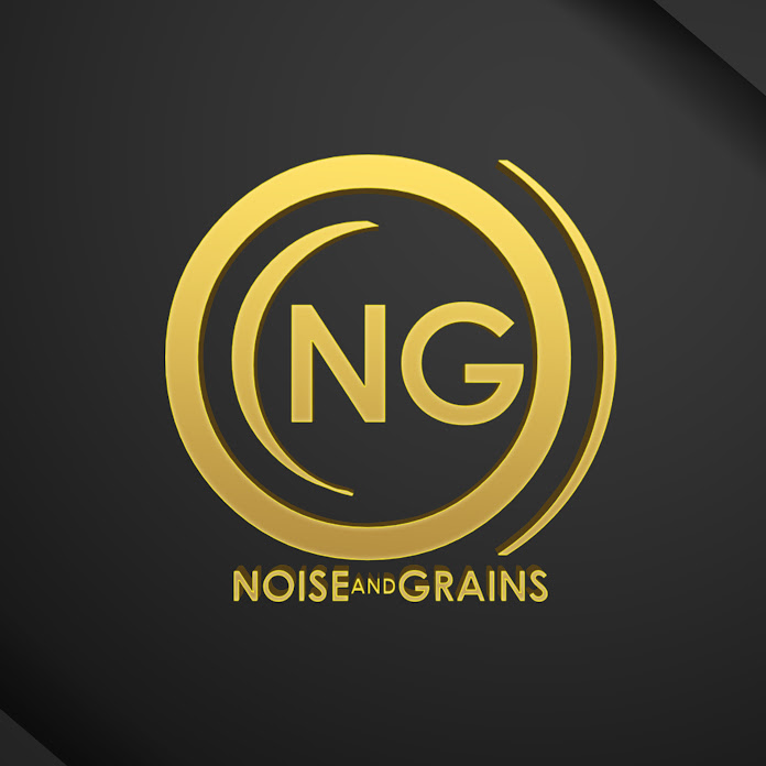 Noise and Grains Net Worth & Earnings (2026)