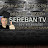 SEREBAN TV #ПОЧТИТЕХНОБЛОГ