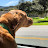 Sara C Avatar