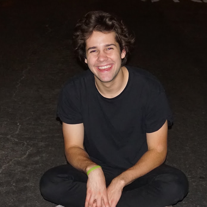 David Dobrik Too Net Worth & Earnings (2025)