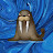 Walrus