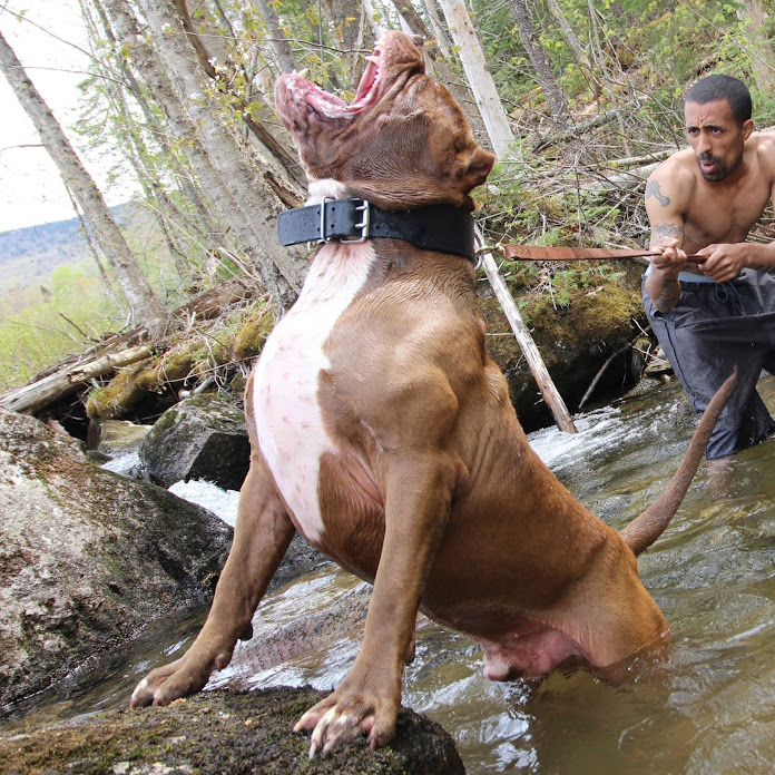 DARKDYNASTYK9S Net Worth & Earnings (2026)