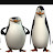 Pingouins bro