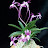 @user-vv9fm1cl2d