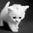 littlekitten