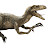 Reckless Velociraptor