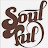 soulfulfool